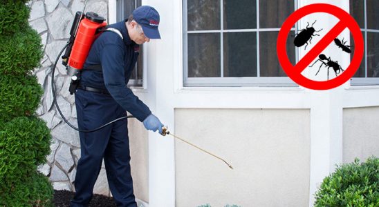 Taraklı Akrep İlaçlama böcek ilaçlama ve haşere kontrolü — ilaclama-tr.com